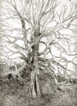45-EtchedTree2