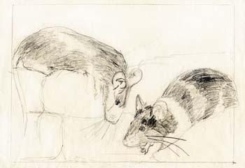 Copy of Mice
