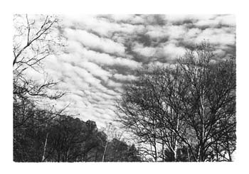 clouds