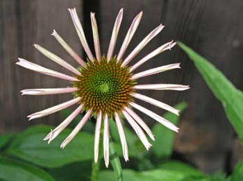 P1015240